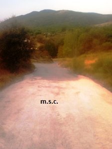 realizacion de caminos
